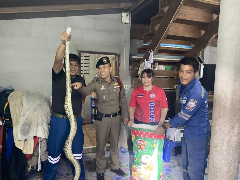 ตร.หนองบัวเหนือ กู้ภัย จับน้องงูเหลือม เข้าบ้าน!